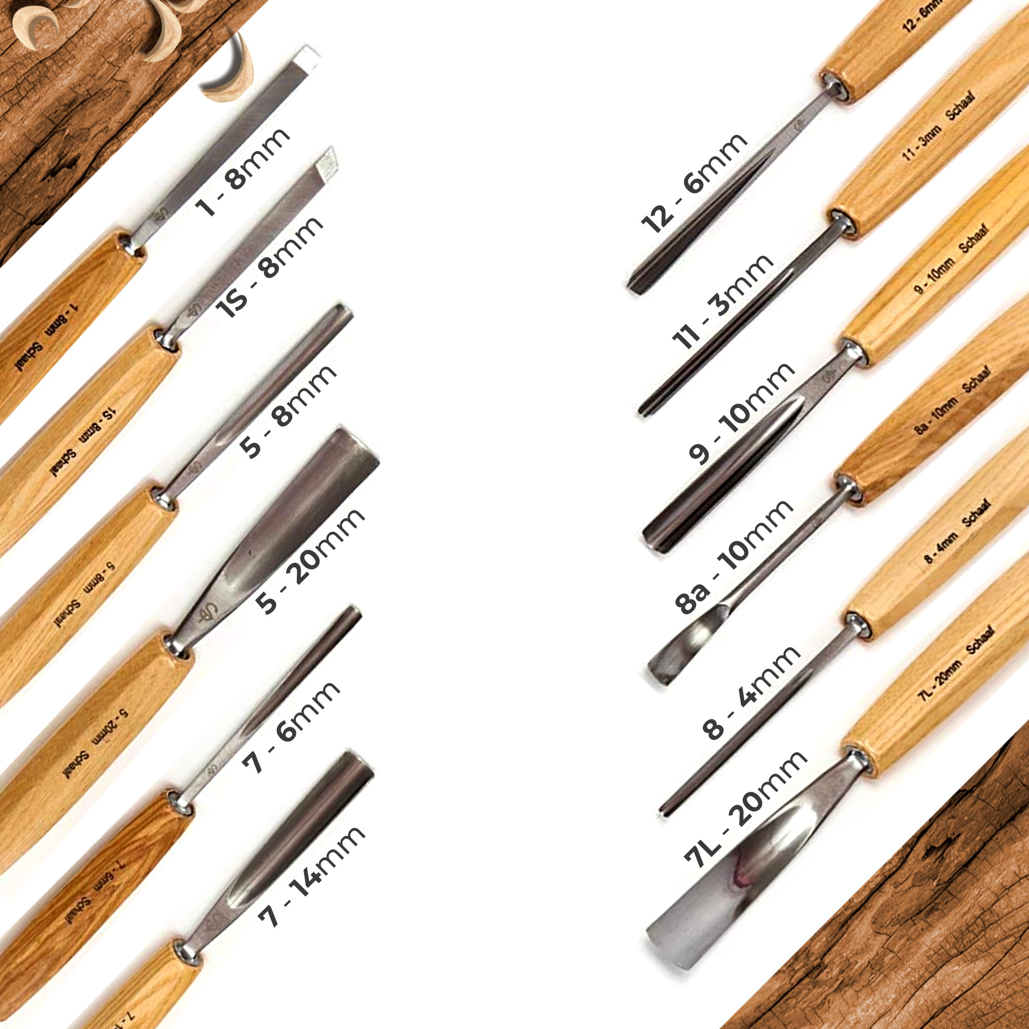 Professionally Hand Sharpened - 12-Piece Foundation Wood Carving Set – Best Choice for Beginners