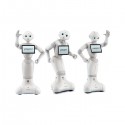 Pepper For Business Edition humanoid robot 2 years warranty