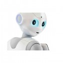 Pepper For Business Edition humanoid robot 2 years warranty