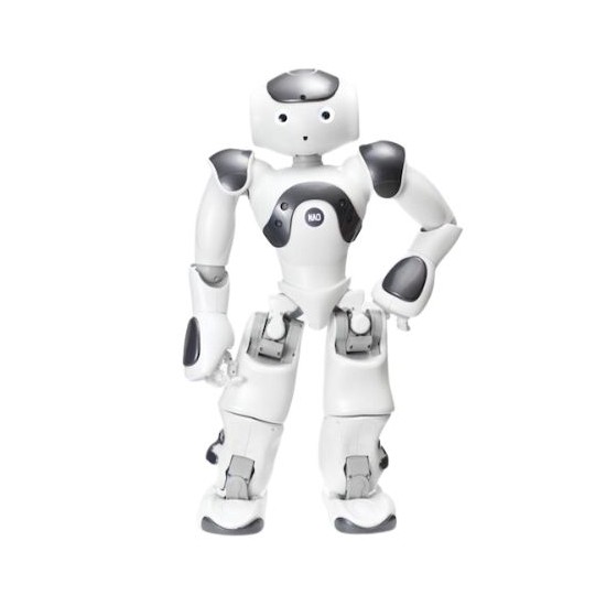 Programmable Humanoid Robot   NAO V6