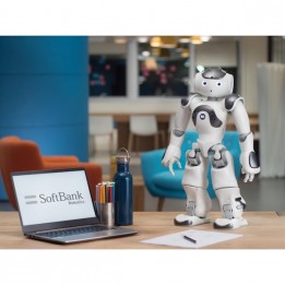 Programmable Humanoid Robot   NAO V6