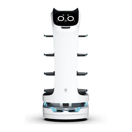 PUDU BellaBot server robot