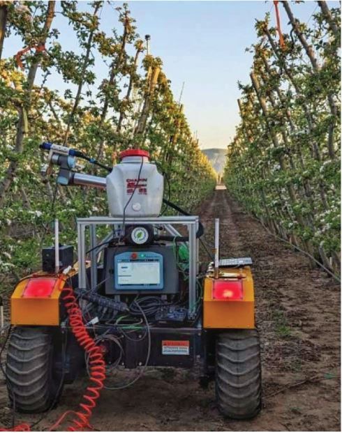 UGV Husky in an orchard