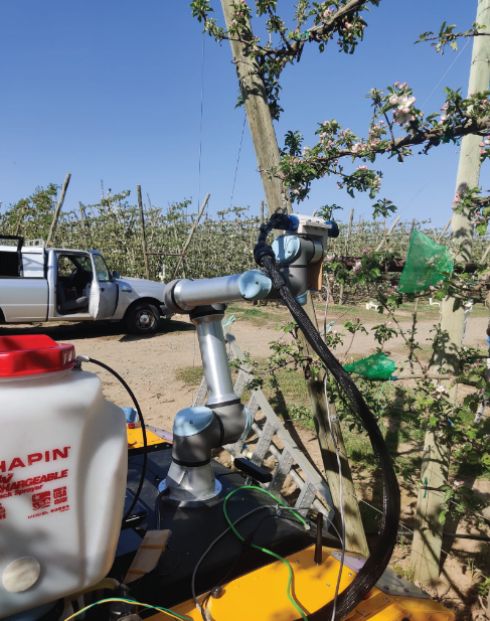 UGV Husky in an orchard